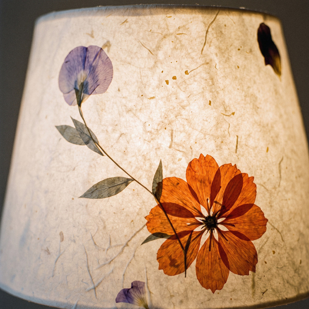 Close view of real pressed petals glowing inside the lit paper shade