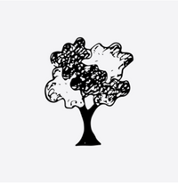 Nature-Inspired Designs